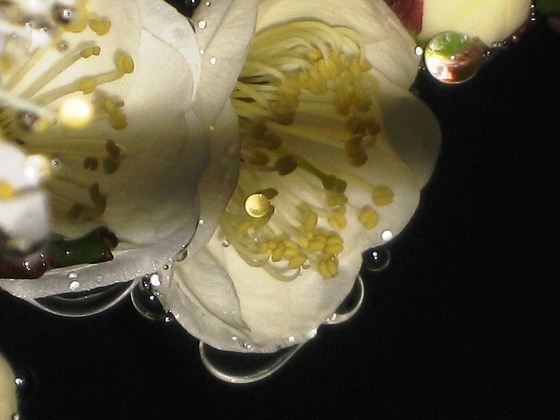 e0228147_04926.jpg