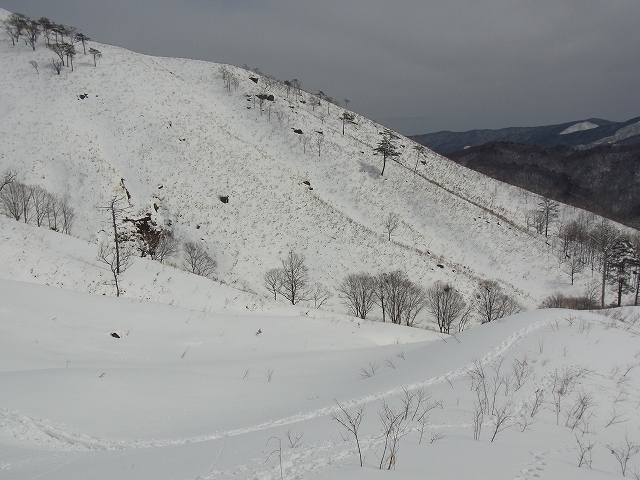 a0150050_11573559.jpg