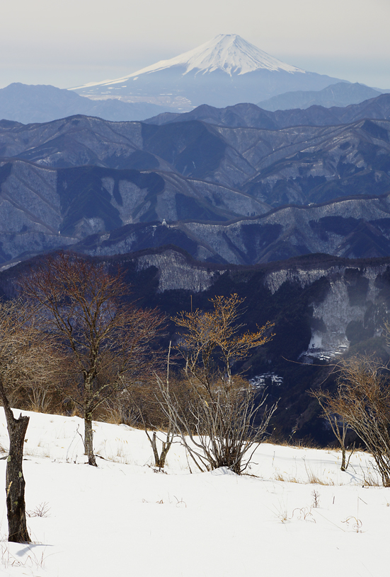 鷹ノ巣山で山ランチ♪_f0016656_99177.jpg