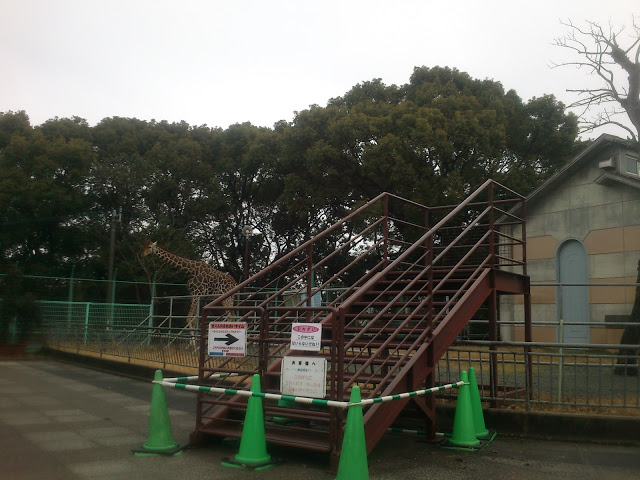 近い？遠い？「大牟田市動物園」_f0201157_10155466.jpg