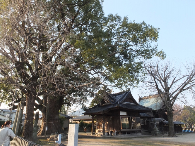 彫刻も楠も立派　上代阿蘇神社_b0123359_1127280.jpg