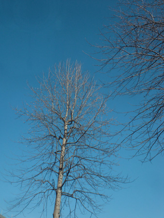 a0053063_0405058.jpg