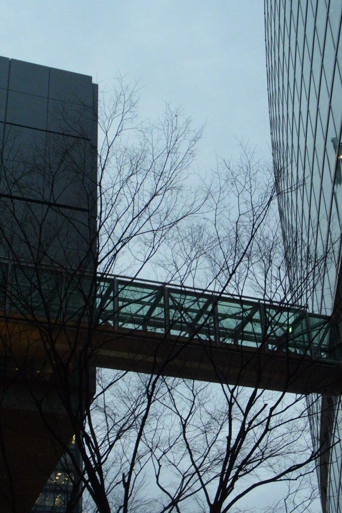 a0123465_041237.jpg