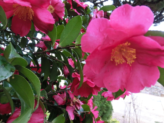 b0244372_8391679.jpg