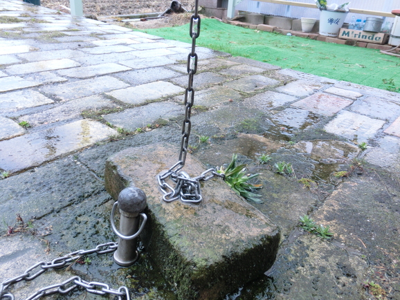b0244372_850622.jpg