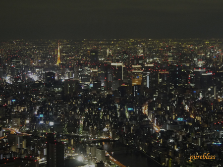 b0243873_1118451.png