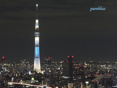 b0243873_1118574.png