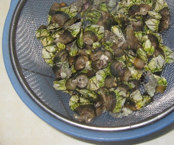 f0003283_218480.jpg