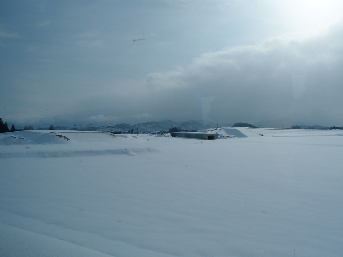 a0073000_10375066.jpg