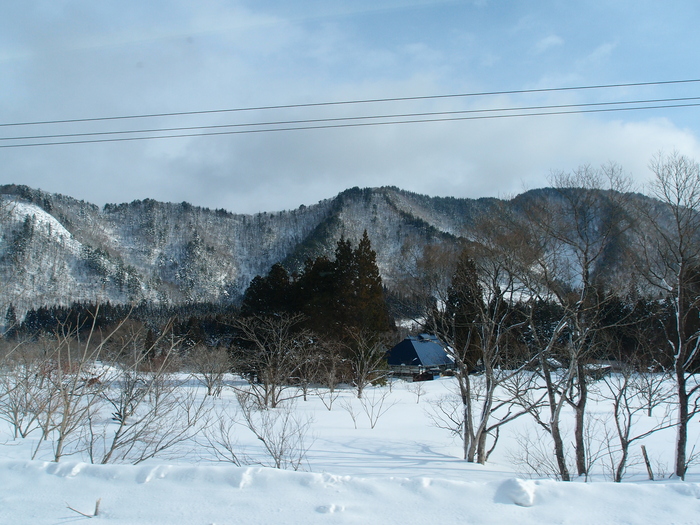 a0073000_10375722.jpg