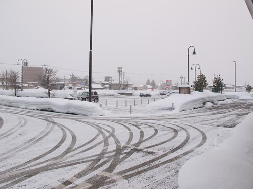 静かに雪が降る朝の散歩（３）_c0075701_7234921.jpg