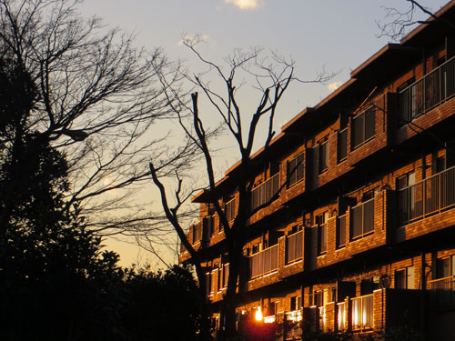 夕方の散歩。_b0129807_17494074.jpg