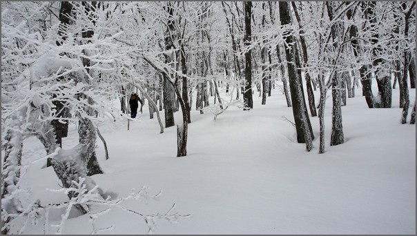 2013/2/17 積雪期　明神平～桧塚奥峰ピストン_f0052108_10725.jpg