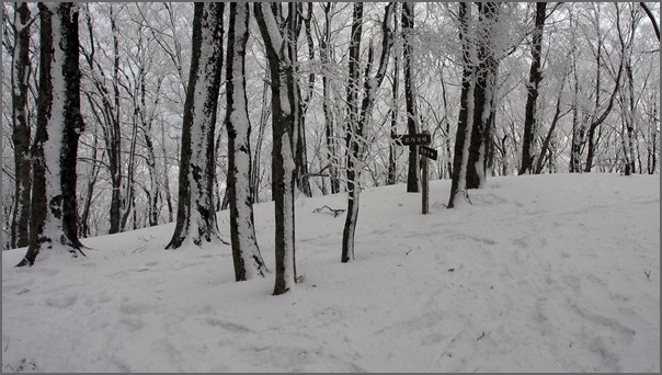 2013/2/17 積雪期　明神平～桧塚奥峰ピストン_f0052108_125889.jpg