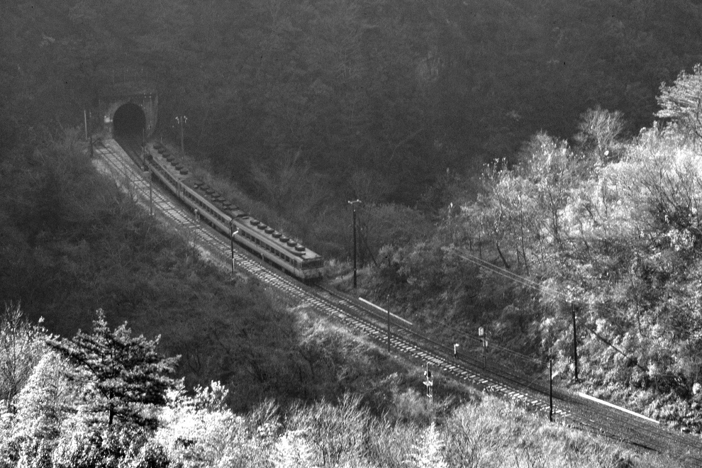 霜のスイッチバックを行く急行気動車 - 1982年・土讃線 - _b0190710_22551025.jpg