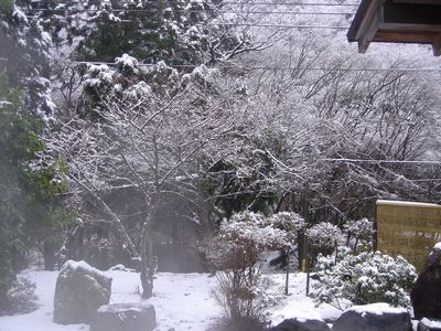 雪見風呂もいいねぇ♡_e0234016_19411896.jpg