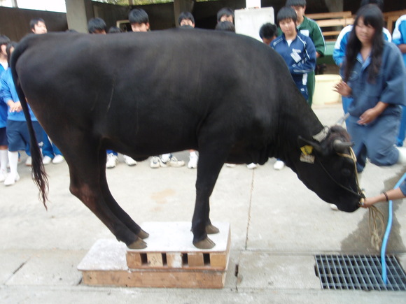 第30回 部長にインタビュー!_d0237121_104057.jpg