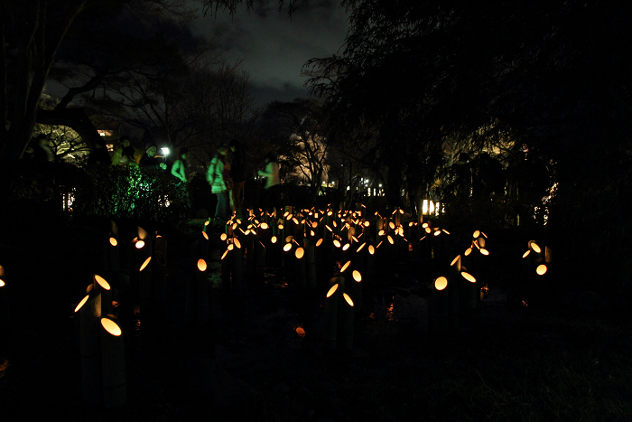 東山花灯路2012 －円山公園（後編）－_b0169330_23121390.jpg