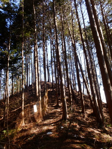 b0281732_2233140.jpg