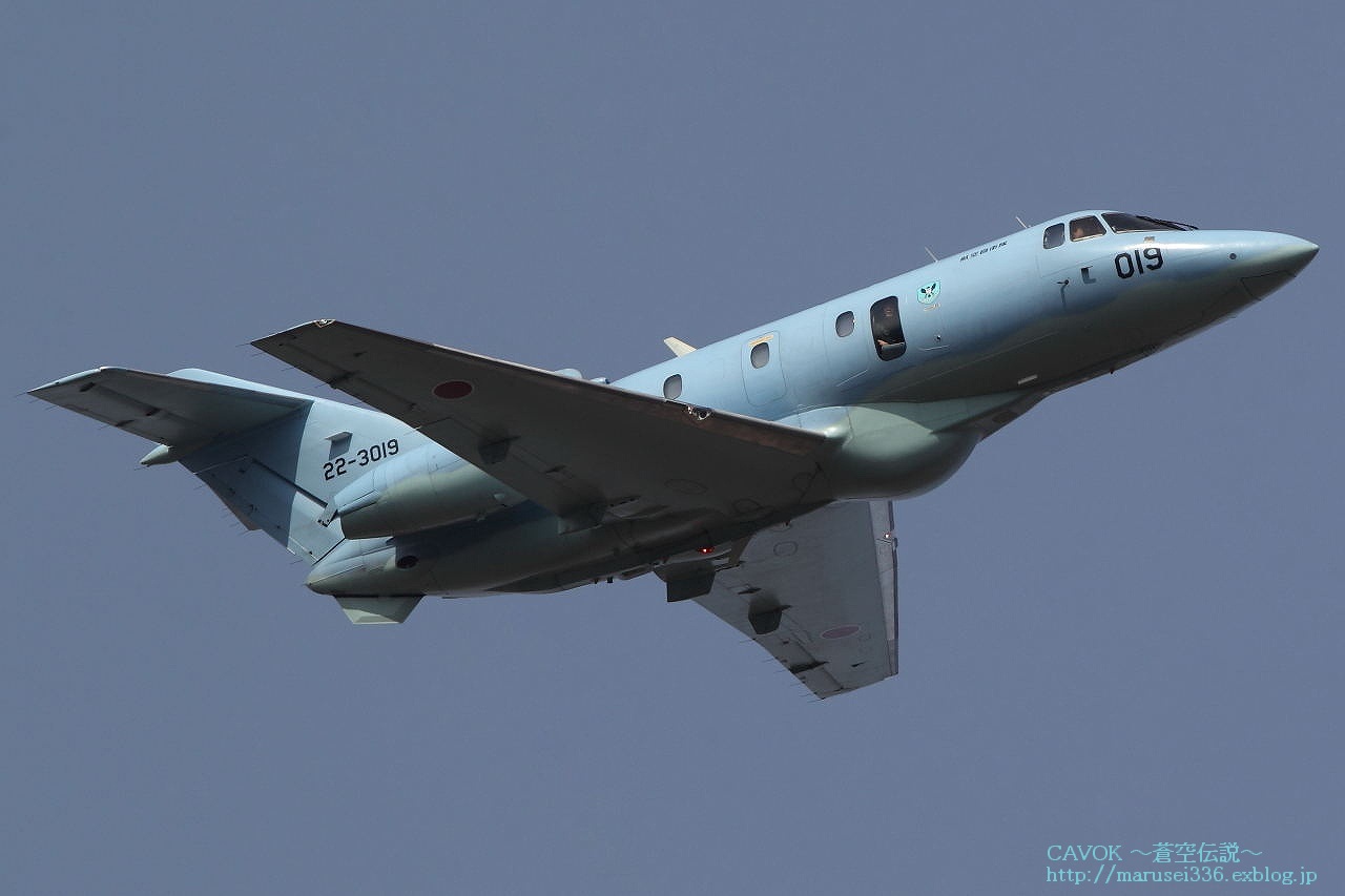d0193838_59236.jpg