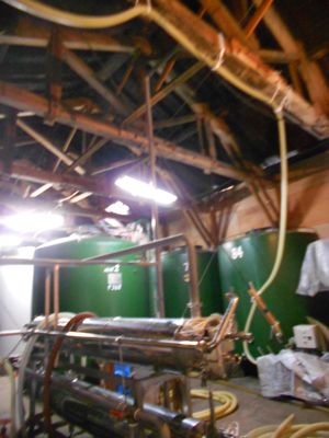 d0136540_4311080.jpg
