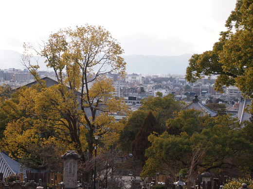 金戒光明寺（会津藩が京都守護職の時の本営）_b0279441_23111320.jpg