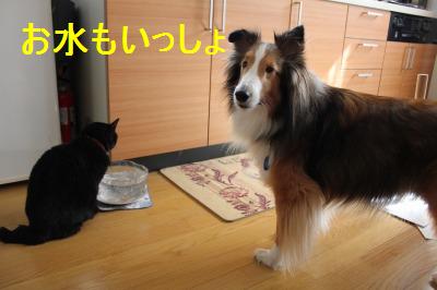 食べる事は生きるパワー!_e0195743_11505639.jpg