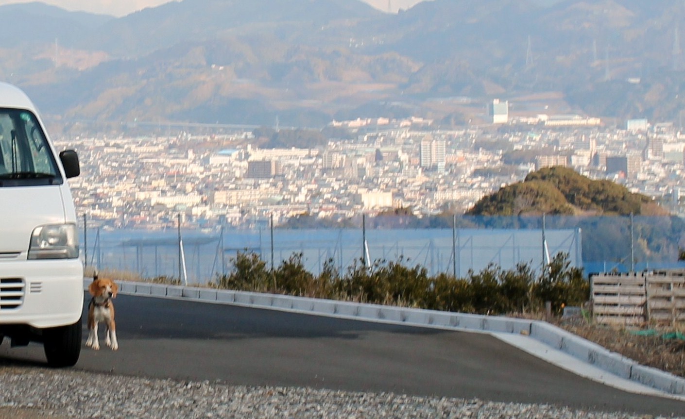 b0005652_11212324.jpg
