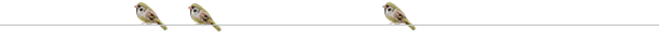 e0219353_1658106.gif