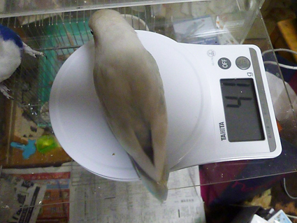 e0147757_0201937.jpg