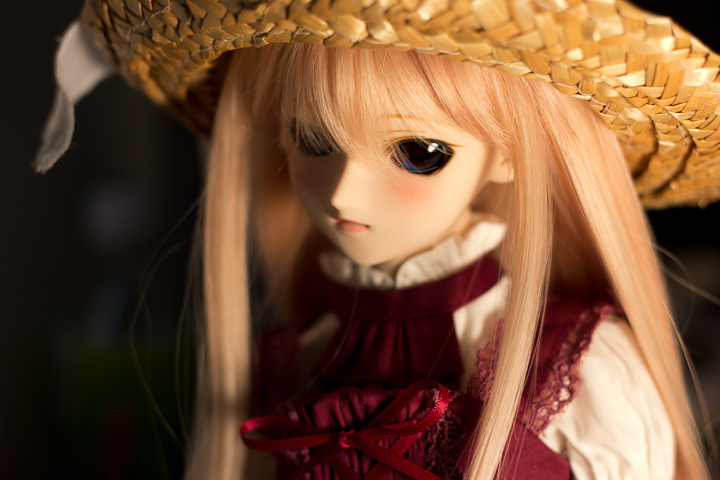 Doll] DDH-05 メイク済み 2012 Ver. : n o t e s
