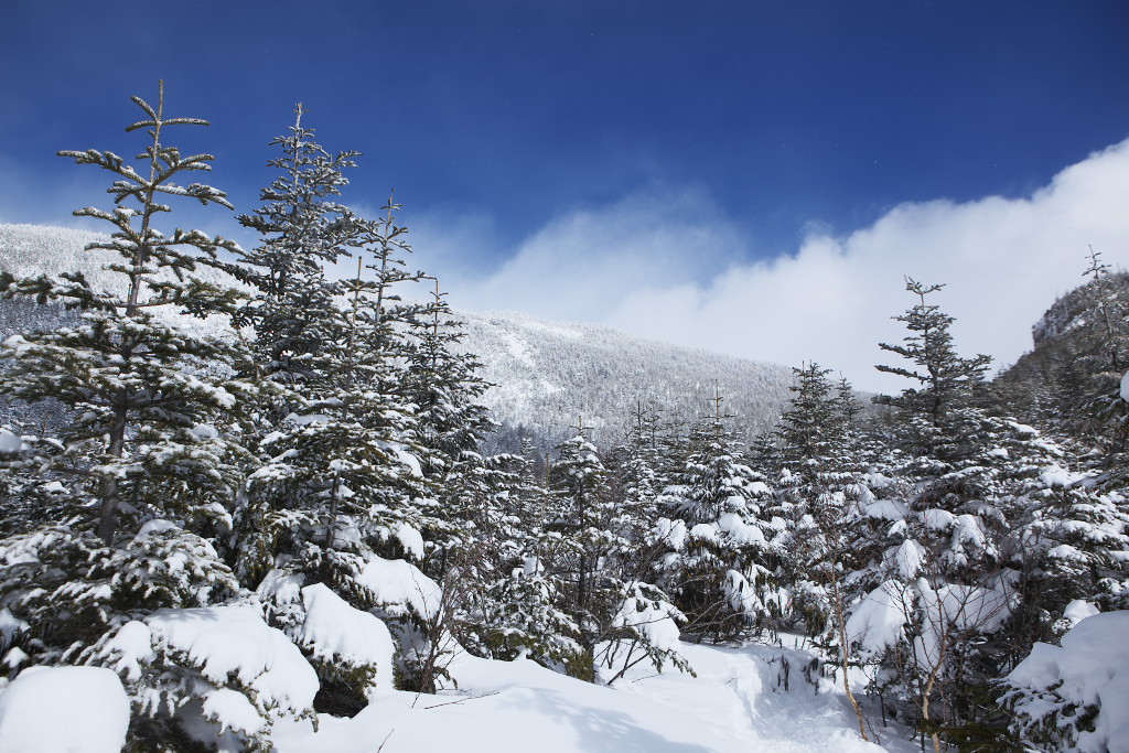 浅間外輪山・黒斑山 敗退_f0171065_21484026.jpg