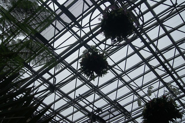 e0181373_21344519.jpg