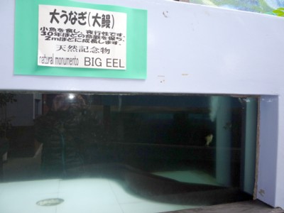 b0035391_17192216.jpg