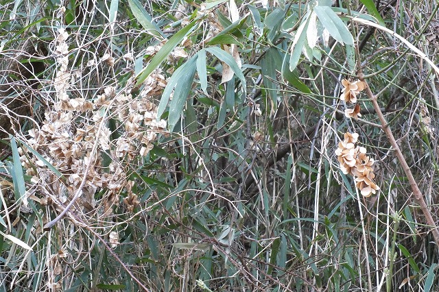 e0070891_1904376.jpg