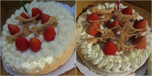 お休みします！！ _f0176499_2572187.jpg