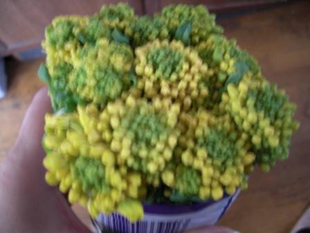 菜の花いつまで食べれる 美味しいは楽しいアジア 菜の花いつまで食べれる 美味しいは楽しいアジア