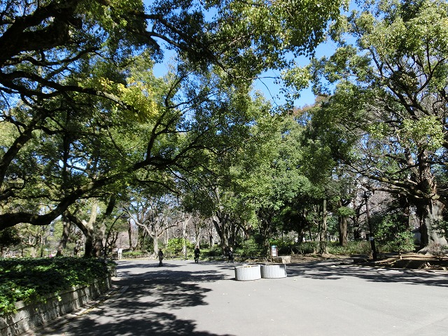 35年ぶりに行った日本最初の西洋式公園「日比谷公園」_f0141310_7412918.jpg