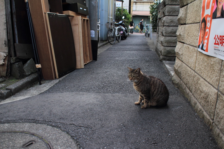 高円寺　　さよならのマルフク_b0061717_1628481.jpg