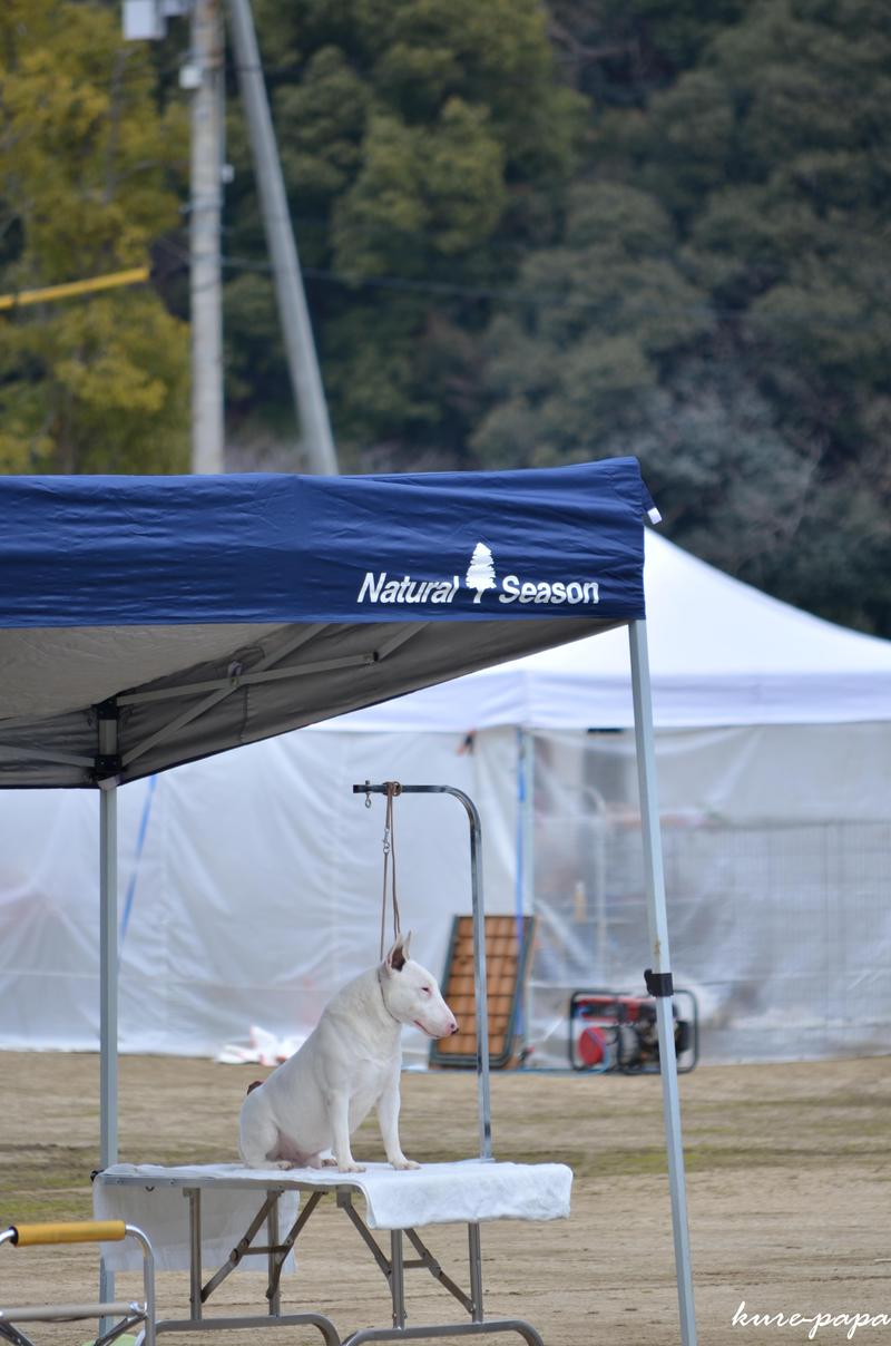 b0279623_0392360.jpg