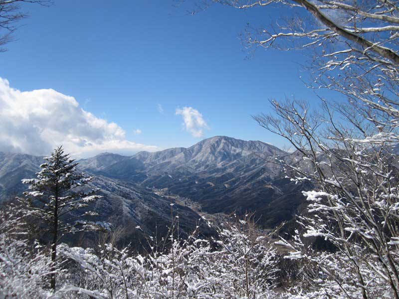 鳥ノ胸山　トンノムネ　雪山　アイゼンなしの登りは堪えました。_d0000031_18401547.jpg