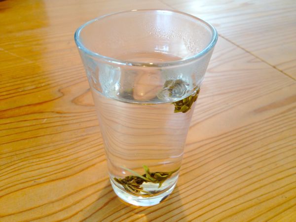 カルティベイト_e0292546_2311952.jpg