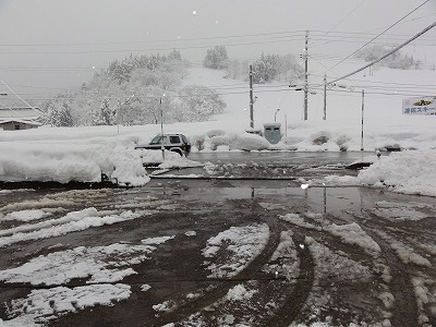 雪が降りますね_a0084753_8224570.jpg