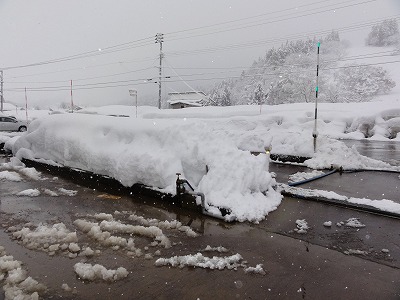 雪が降りますね_a0084753_823374.jpg