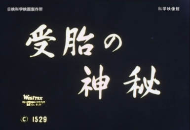 本日の配信映画は「受胎の神秘」 この作品を介して生命の神秘に触れましょう_b0115553_10575556.png