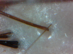 c0273553_16121725.png