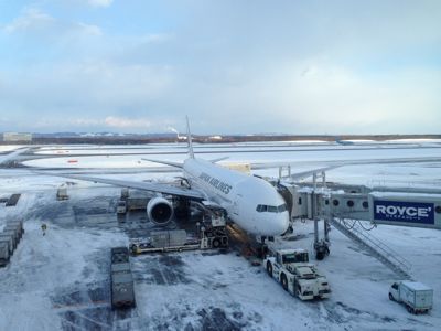 北海道は豪雪_c0263761_174514.jpg