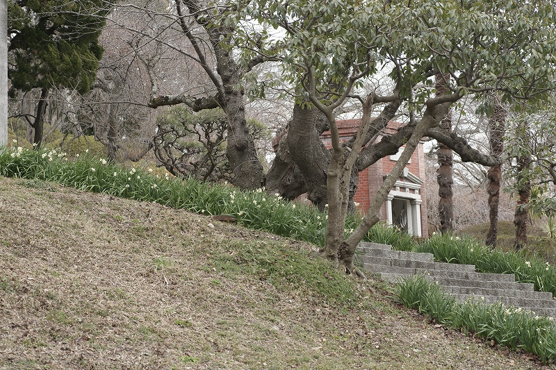 b0198768_21524711.jpg