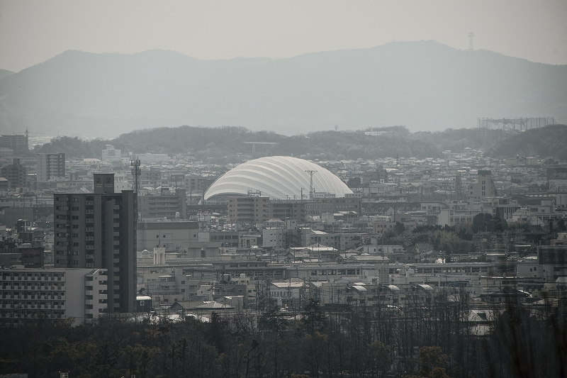 b0198768_222323.jpg