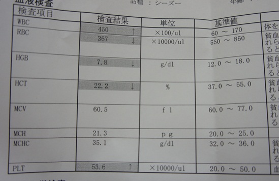 貧血数値早くも悪化。。_c0163878_1232181.jpg